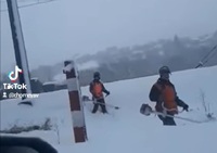 Працівники «Укрзалізниці» посеред снігу... косили траву (ВІДЕО)
