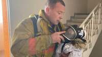 Шокирующие кадры эвакуации людей с высотки в Киеве: люди дышали в маске поочередно с пожарными (ФОТО)