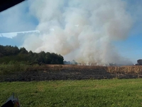 Чагарник поблизу Квасилова загасили (ФОТО)