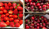 Перевірили на нітрати ягоди з ринку Рівного 