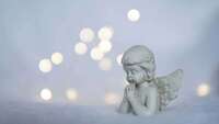 13 лютого - День ангела Світлани: вітання та листівки (ФОТО)
