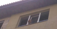 Застряг у вікні: у Вараші рятували кота