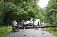 Дерева попадали на автомобілі на Рівненщині (ФОТО)