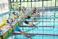 Плавці школи олімпійського резерву везуть у Рівне 8 комплектів нагород з ЧУ
