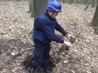 На Рівненщині знайшли 27 мінометних мін часів Другої світової війни (ФОТО)