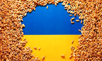 Український хліб: в ООН назвали дату першого «зернового» рейсу