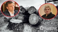 Вирубали 300 кубів лісу, збитки сягнули 20 млн: на Рівненщині – патова ситуація (ФОТО)