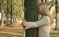 Дерева — природні цілителі: як використати їхню енергію, якщо знайти «своє» дерево (ФОТО)