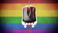Гомосексуалісти можуть бути донорами крові на Рівненщині