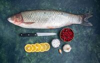 Більше ніякої луски по всій кухні: Як чистять рибу досвідчені рибалки