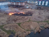 На березі Басового Кута діти підпалили очерет, міг загорітися трансформатор (ФОТО)
