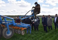 День поля: що вирощує флагман органічної продукції на Рівненщині (ФОТО)