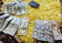 «Мілі, мілі й заробілі»: бурштинокопачі Рівненщини хизуються заробленими грошима (ФОТО)
