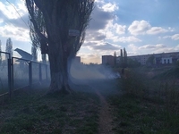 Підпал на Ювілейному: чоловіки запалили траву і втекли (ФОТОФАКТ)