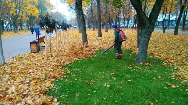 Досвід прибирання листя у Чернігові