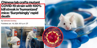 Вірус-мутант COVID-19 успішно створили в Китаї: тепер смертність – 100%. У мишей очі – стають білими (ФОТО)