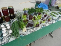 На ринку Рівного з’являються зелень та овочі (ЦІНИ)