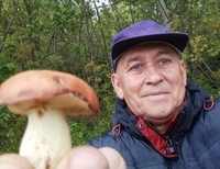 Перші гриби з'явилися в лісі на Рівненщині (ФОТО)