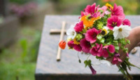 Провідна неділя: чи проводитимуть панахиди на кладовищах у Рівному