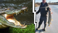 «Як добре, що ти впіймав того крокодила»: на Рівненщині рибалка зловив 8-кілограмову щуку