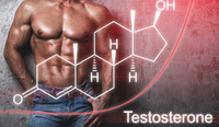 Чинники, без яких не підняти рівень тестостерону 