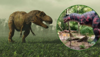 Гігантські динозаври у зоопарку Рівного (ВІДЕО)