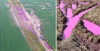 Рожеві хімікати біля Рівного утилізують разом. Зняли пів метра ґрунту 