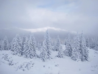 Всюди відлига, а в Карпатах «гуляє» зима. У горах випав метр снігу (ФОТО)