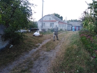 Рятувальники знищили кубло шершнів у Курозванах (ФОТО)
