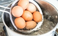 Не виливайте воду, в якій варили курячі яйця! Це цінне екопідживлення