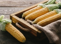 Як зварити кукурудзу правильно