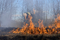 На Рівненщині – надзвичайна пожежна небезпека