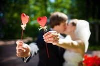 Майже півтори сотні закоханих пар взяли «Шлюб за добу» у Рівному