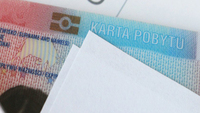 Польща спростила оформлення карти побиту для українських заробітчан