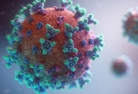 Тепер ще й «південноафриканський» штам коронавірусу є в Україні