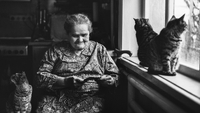 Будуть одинокими все життя: жінки з цими іменами проведуть старість із кішками