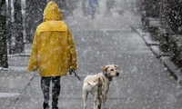 Сніг та морози: з’явився прогноз погоди до кінця березня в Україні (КАРТИ)