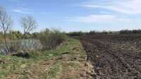 Біля річки на Рівненщині розорали  прибережну захисну смугу