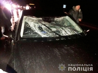 Пішохід загинув під колесами автомобіля поблизу Нової Любомирки (ФОТО)