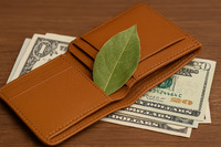 5 способів залучити гроші за допомогою лаврового листа: народні прикмети