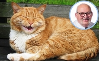 Британський депутат обматюкав кота в прямому етері й заплатив за це штраф (ФОТО)