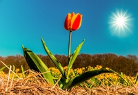 Чим потрібно поділитися 2 квітня, щоб увесь рік гроші водились: народні прикмети