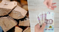 «Витягають» гроші, а дають мало тепла: ці дрова не варто купувати для опалення