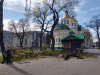 У центрі Рівного вітер зламав дерево: чимала гілляка звалилася на землю (ФОТО)