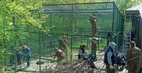 Зоопарк у Рівному будує нові вольєри й звітує про отримані пожертви  
