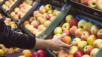 В Україні ціни на яблука пробили трирічне «дно»: скільки коштують і що варто знати