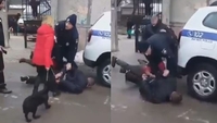 «Інка, дай йому ляща!»: у Рівному жінка з собакою кинулась захищати п'яного чоловіка від поліцейських (ВІДЕО)