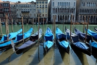 Вперше за багато років у канали Венеції повернулася риба та прилетіли лебеді (ВІДЕО)