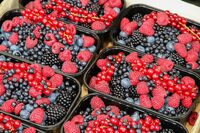 Дорожче, ніж лохина: українська ягода побила цінові рекорди (ВІДЕО)
