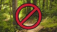 На Рівненщині заборонили відвідування лісів на час воєнного стану 